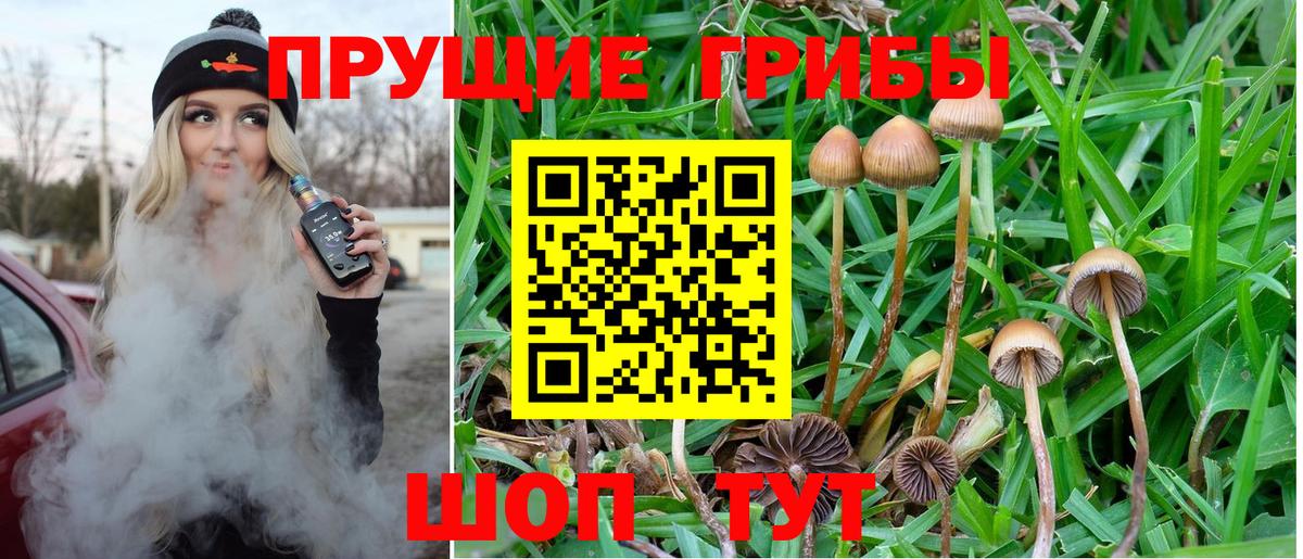 Псилоцибиновые грибы ЛСД Соль-Илецк