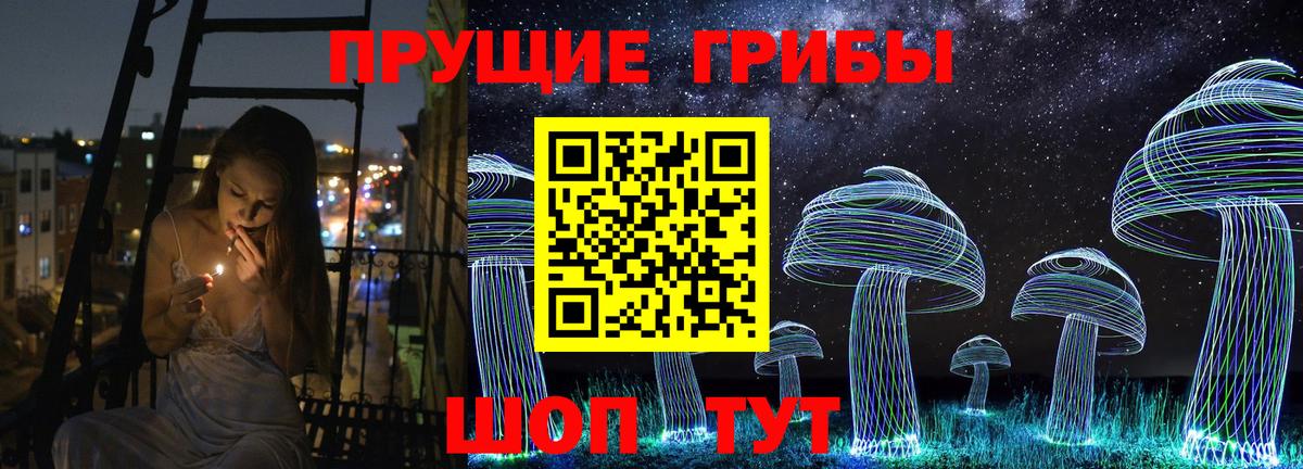 Соль-Илецк  Псилоцибиновые грибы Psilocybine cubensis  Вход с VPN 
